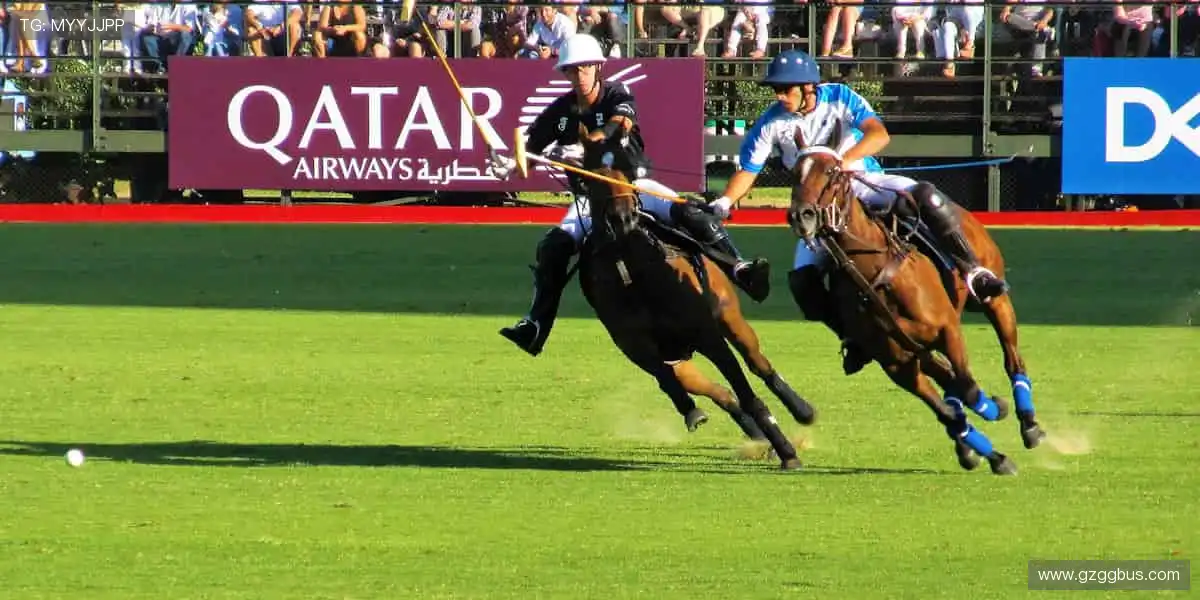 激情碰撞,瞬间点燃!⚽️🏀 锁定我们,见证每一个改写历史的时刻!