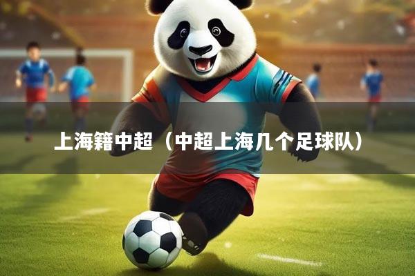 上海籍中超（中超上海几个足球队）