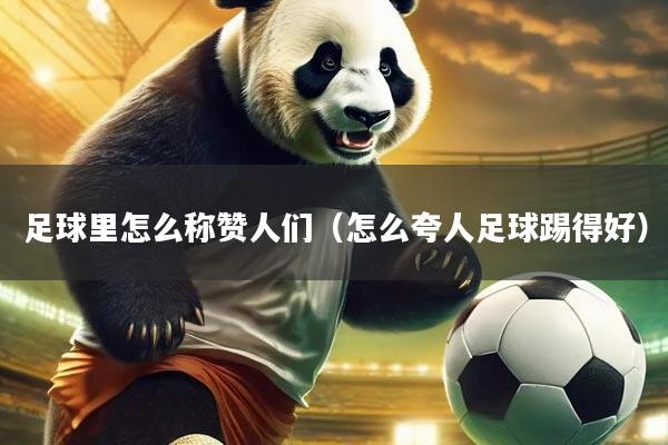 足球里怎么称赞人们（怎么夸人足球踢得好）