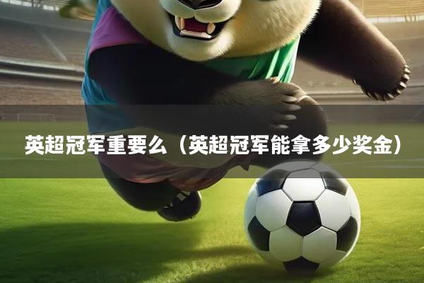 英超冠军重要么（英超冠军能拿多少奖金）