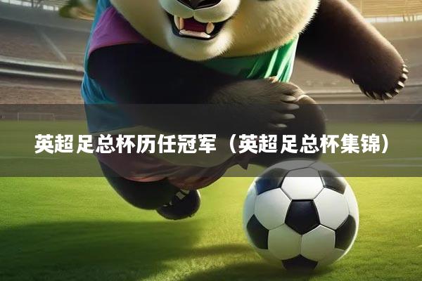 英超足总杯历任冠军（英超足总杯集锦）